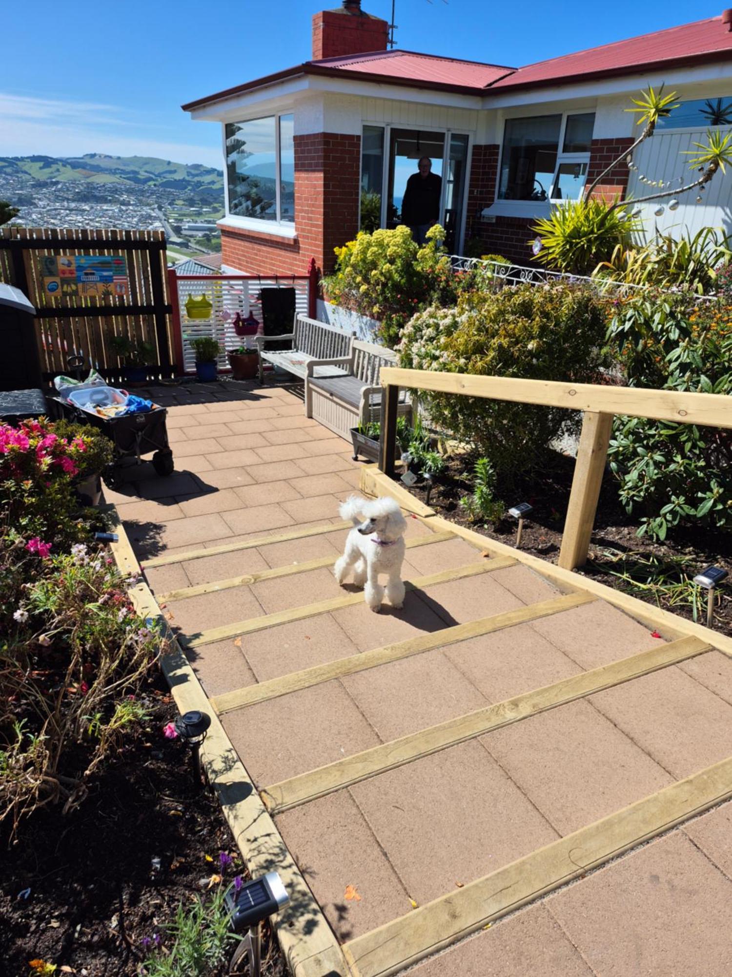 Rosemount B&B By The Sea St Clair Dunedin Exterior photo