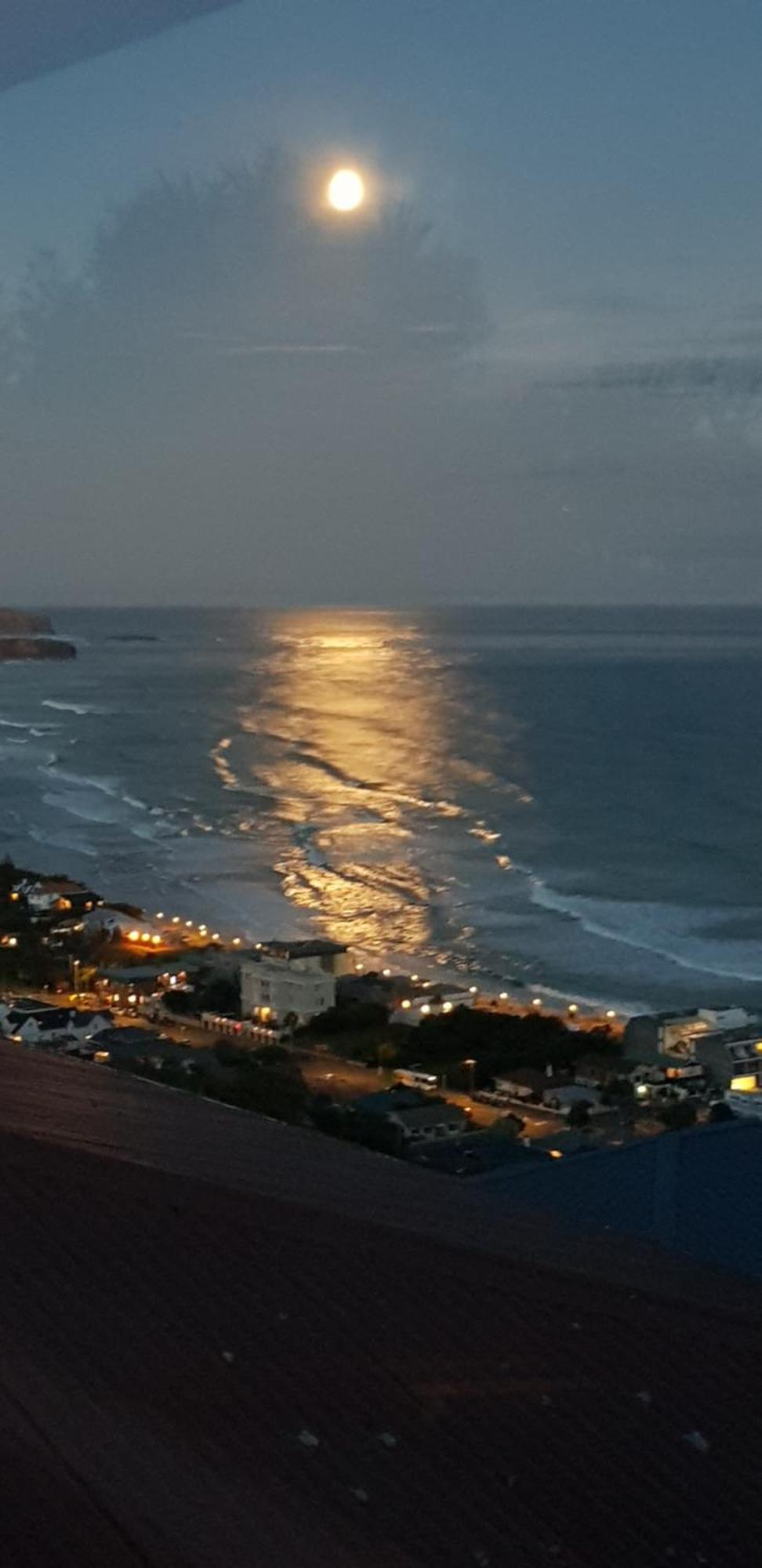 Rosemount B&B By The Sea St Clair Dunedin Exterior photo